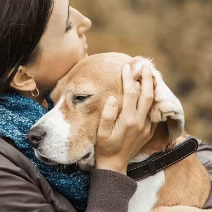 A person holds a sad dog